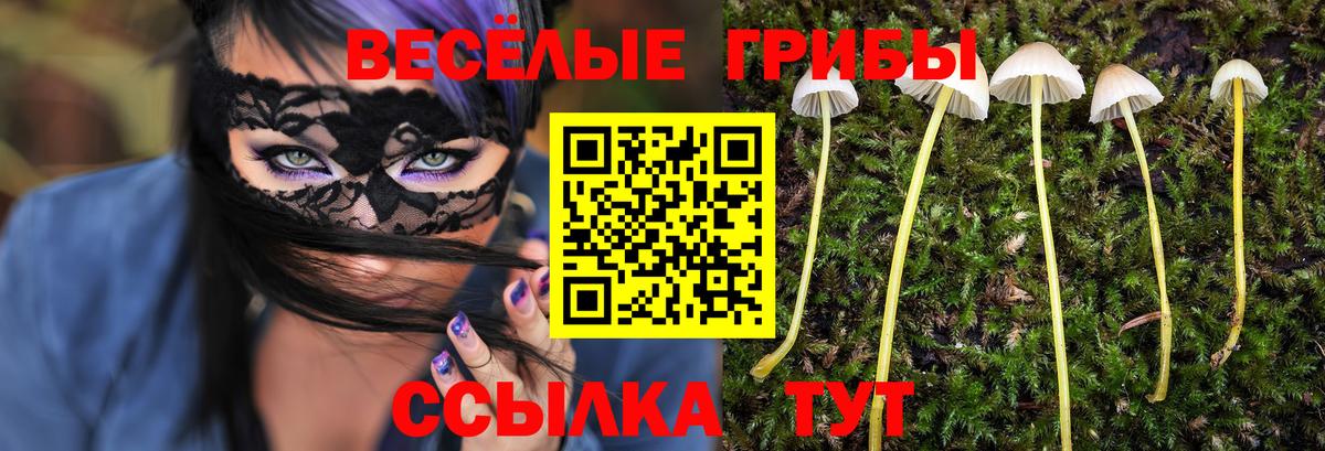 Отрадное  Псилоцибиновые грибы Psilocybine cubensis  Вход с VPN  Псилоцибиновые грибы Psilocybine cubensis 