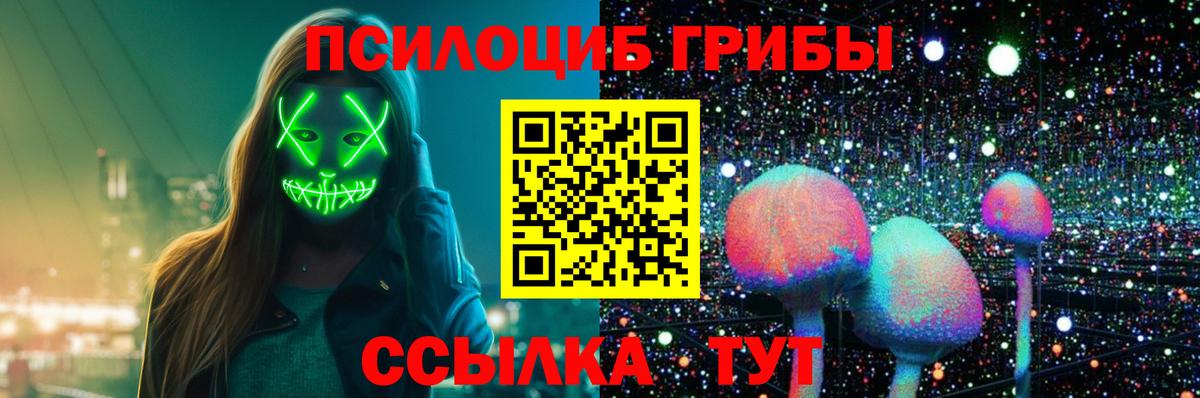 Псилоцибиновые грибы прущие грибы Отрадное